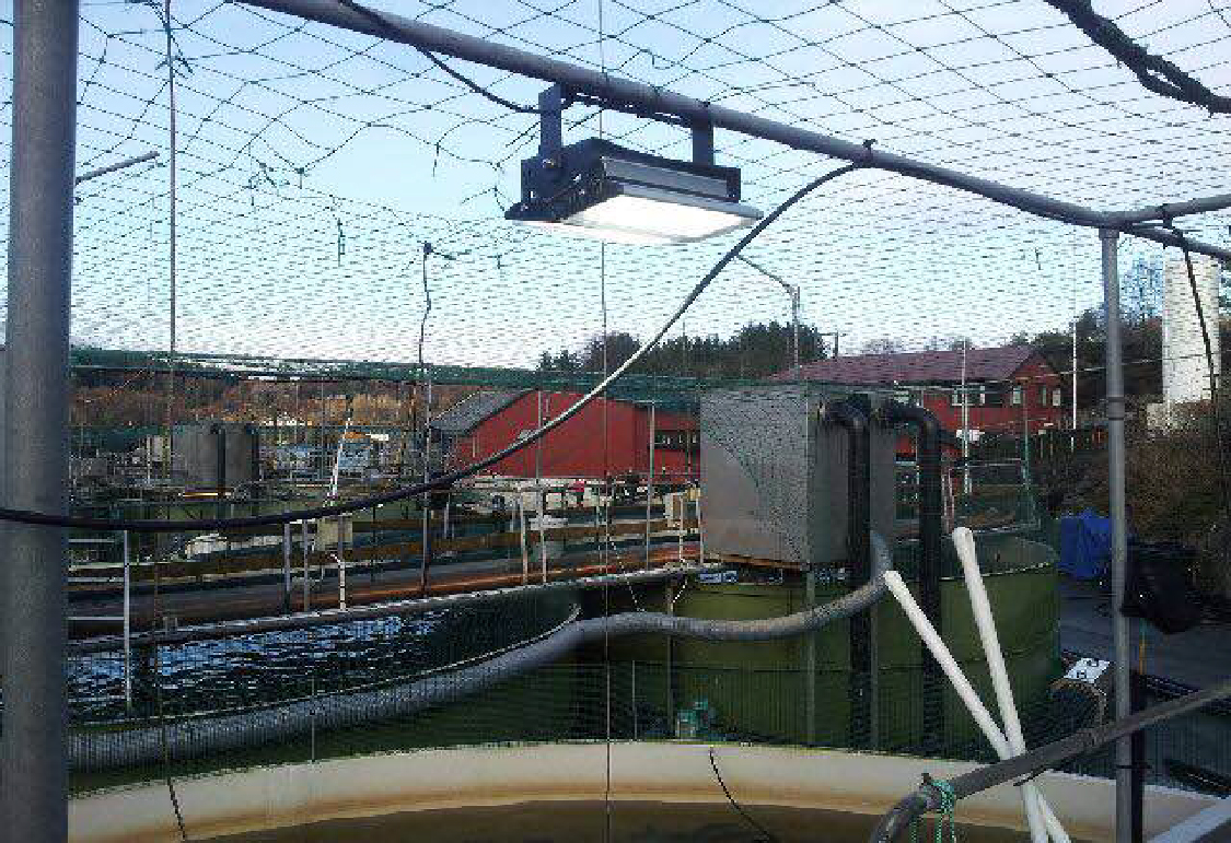 Ứng dụng chiếu sáng cho Tàu và thiết bị tại Trang trại cá hồi Alsaker tại Na uy . Đèn Pha Led 160W